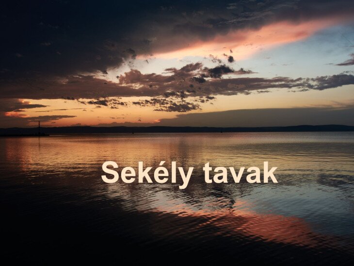 Tavi cápák