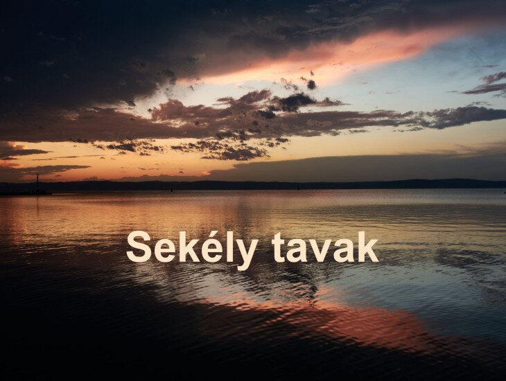 Tavi Rózsák